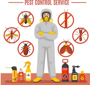 Reasons To Hire the Pest Control Services
